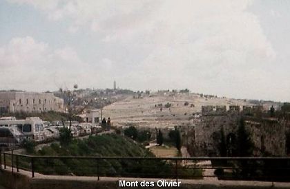 5. L'acceptation de l'adversité: